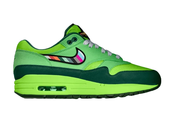 Nike Air Max 1 Ducks Of A Feather Retro UO